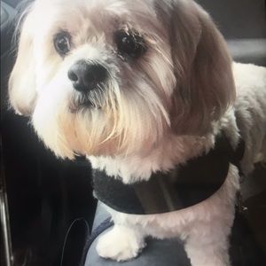 Meet your Posher, Melinda